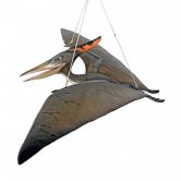 Baby Pteranodon Baby Pteranodon