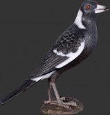 Magpie Magpie