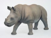 Rhinocerous Baby Rhinocerous Baby