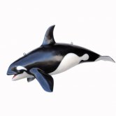 Orca Whale (Small) Orca Whale (Small)