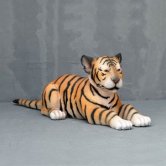 Tiger Cub Lying Tiger Cub Lying
