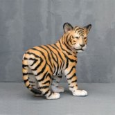 Tiger Cub Standing Tiger Cub Standing