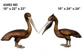 Pelicans 24" Pelicans 24"