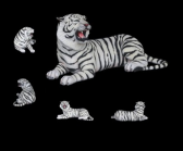 Tiger Lying Tiger Lying