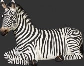 Zebra Resting Zebra Resting