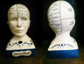 Phrenology Head Statue Phrenology Head Statue