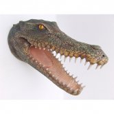 Crocodile Head Crocodile Head