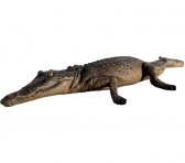 Crocodile Resting 4ft. Crocodile Resting 4ft.