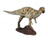 Hypsilophodont Hypsilophodont