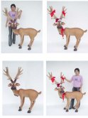 Funny Reindeer Standing Funny Reindeer Standing