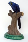 Hyacinth Macaw 3 ft. Hyacinth Macaw 3 ft.