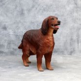 Irish Setter Dog Irish Setter Dog