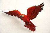 Parrot Flying (Red) Parrot Flying (Red)