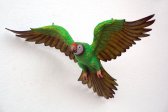 Parrot Flying (Green) Parrot Flying (Green)