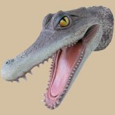 Alligator Head Alligator Head