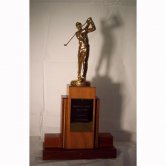 Wheatley Hills Golf Trophy Gold Wheatley Hills Golf Trophy Gold