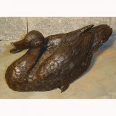 Bronze Sitting Duck Bronze Sitting Duck