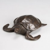 Bronze Sea Turtle Bronze Sea Turtle