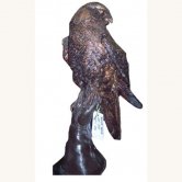 Bronze Eagle Bronze Eagle
