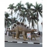 Adult Stegosaurus Adult Stegosaurus