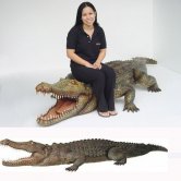 Fiberglass Crocodile 10 ft. Long Fiberglass Crocodile 10 ft. Long