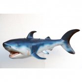 Small Shark Small Shark