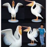 Pelican Pelican