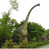 Adult Brachiosaurus Adult Brachiosaurus