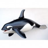 Orca Whale Orca Whale
