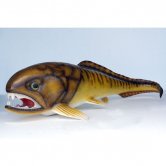 Dunkleosteus Dunkleosteus