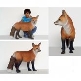 Fox Fox