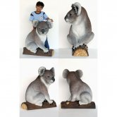 Koala Bear Koala Bear