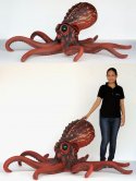 Octopus Octopus
