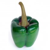 Bell Pepper ( Green ) Bell Pepper ( Green )