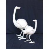 Small Swan Small Swan