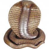 King Cobra King Cobra