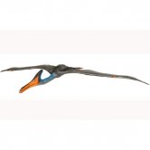 Ornithocheirus Statue Ornithocheirus Statue
