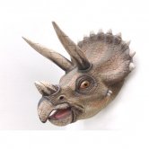 Triceratops Head Triceratops Head