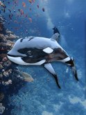 Hanging Orca Killer Whale Statue Hanging Orca Killer Whale Statue