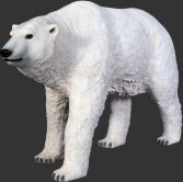 Polar Bear Polar Bear