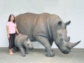 Rhino "Mommy" Rhino "Mommy"