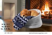 Cozy Labrador Puppy Cozy Labrador Puppy