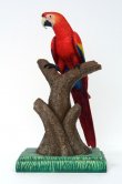 Scarlet Macaw (Head Up) 3ft. Scarlet Macaw (Head Up) 3ft.