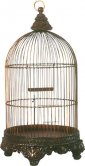 Bird Cage Bird Cage