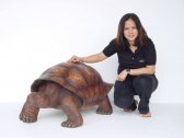 Turtle / Tortoise Statue (Brown) Turtle / Tortoise Statue (Brown)